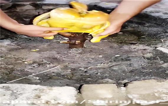 مرغ بریون با ساده ترین فر