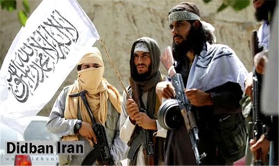 فعال اصولگرا: تفکر طالبان «وهابی» است