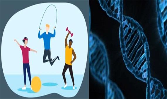 نقش پررنگ ژن‌ها در اثر بخشی ورزش