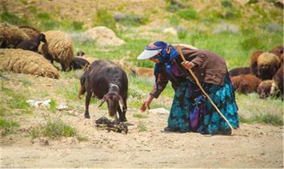 پرداخت تسهیلات به صندوق خرد زنان عشایر در فارس