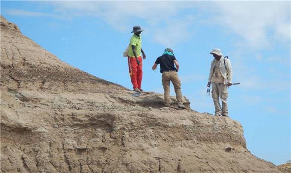 پژوهشگران سن قدیمی‌ترین جمجمه انسان را 233 هزار سال تعیین کردند