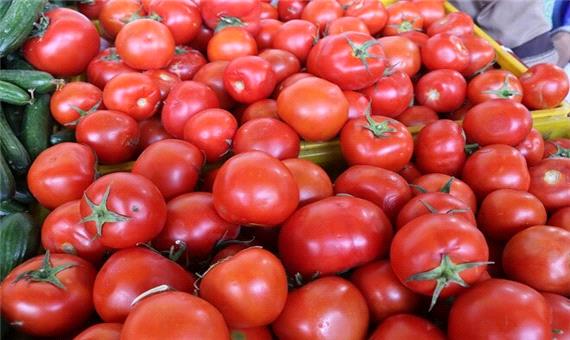 باغداران کشور محصول «گوجه فرنگی، خیار، سیب‌زمینی، پیاز و سیر» را در میادین پایتخت عرضه کنند