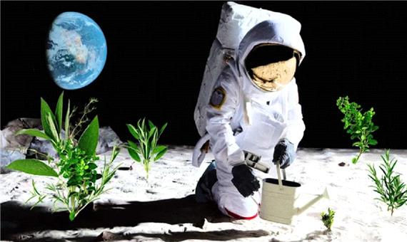 دانشمندان برای اولین بار موفق به پرورش گیاه در خاک ماه شدند