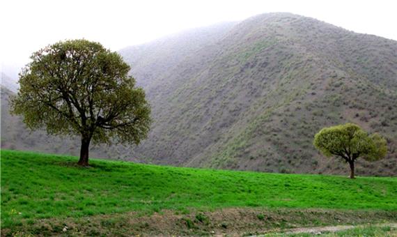 چشم اندازی از طبیعت سارال کردستان
