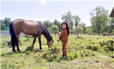 کاسپین، اسب اصیل ایرانی در خطر انقراض