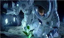 امکان کشاورزی برای فضانوردان با خاک سیارک ها