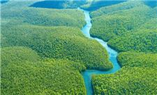 جنگل‌ آمازون از منظر فضا