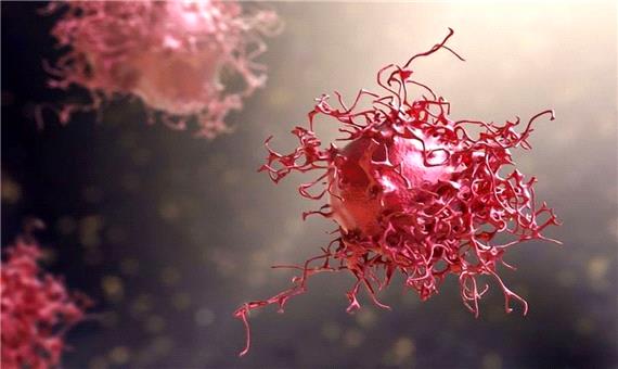 هورمون سلول های چربی رشد تومور را مهار می‌کند