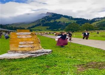 بازگشت رنگارنگ دامها از ارتفاعات آلپ