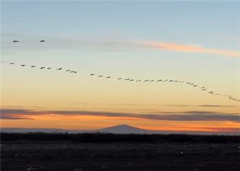 غروب جذاب میانکاله