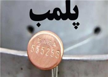 پلمب 29 نمایشگاه خودرو متخلف در فردیس