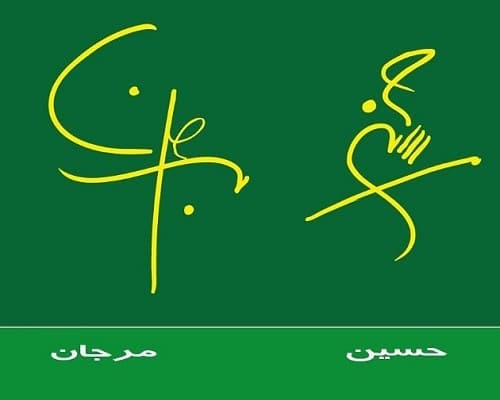 آریا جوان