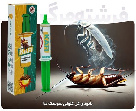 آریا جوان