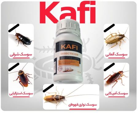 آریا جوان