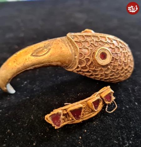 آریا جوان