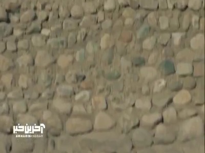 بر اونجای ناخونت که جوونه میزنه لعنت!
