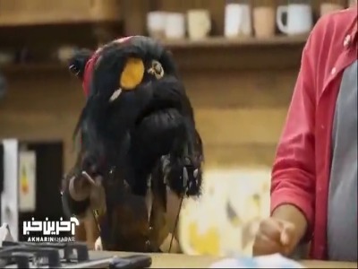 سوپرایز رامبد جوان برای افتو اونو عصبانی کرد!