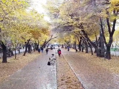 چهار فصل زیبای خیابان تاریخی چهارباغ اصفهان