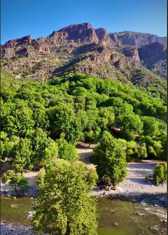 بیشه پیرتو در دورود لرستان