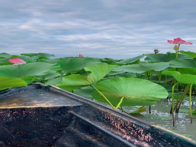 اینجا تالاب آب کنار؛ طبیعت بکر گیلان