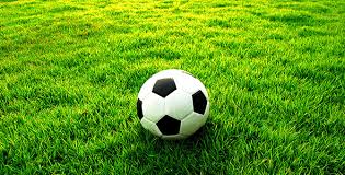 گلایه هواداران اکبرجوجه از مجری: ما MKN هستیم!