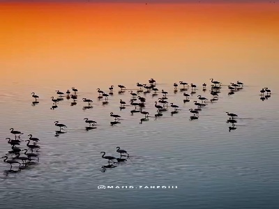 طبیعت میانکاله واقعاً باشکوهه!