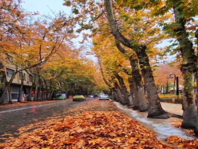 قدم‌زدن در نقاشی پاییزی خوانسار