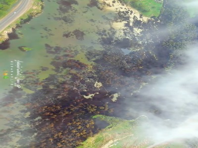 خوزستان؛ دشت شیمبار زیبا