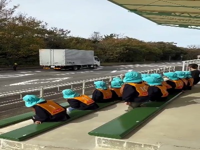 آموزش رد شدن از خیابون در ژاپن