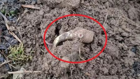 «کلاغ طلایی» بعد از ۱۴۰۰ سال از زیر خاک بیرون آمد