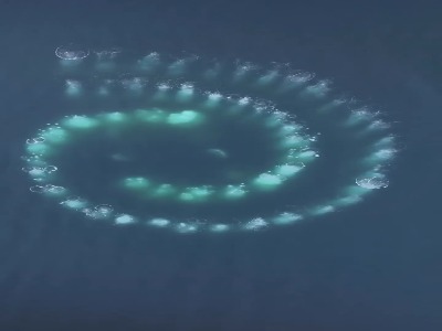 تغذیه توری حباب دار