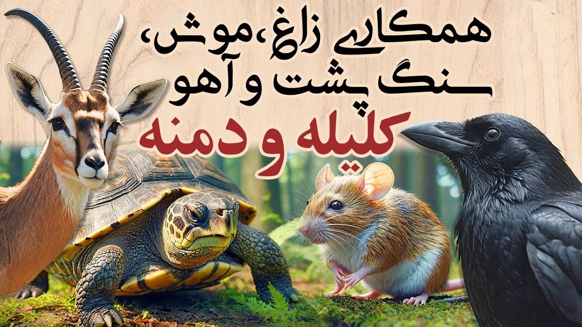 آریا جوان