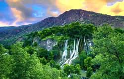 جنگل پاسند،جنگلی مه‌آلود در قلب بهشهر