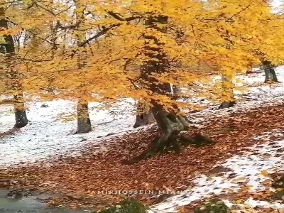 رودبار ؛جایی که در آن رودخانه بسیاری جاری باشد