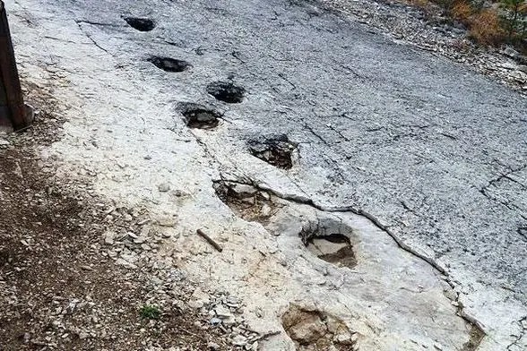 استراحت دایناسورها روی کوه