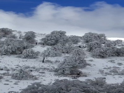 آخرین روزهای پاییزی ارتفاعات مازندران