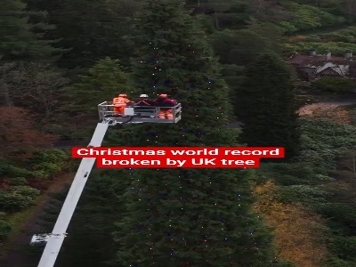 رونمایی از بلندترین درخت کریسمس جهان