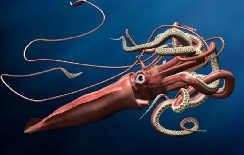 ماندگاری طولانی جوهر ماهی مرکب