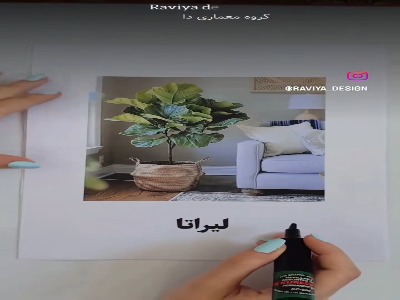 چه گل‌هایی خونت رو شیک میکنه؟!