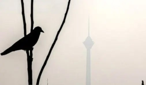 مدارس ابتدایی تهران شنبه غیر حضوری شد؛ زوج و فرد از درب منزل