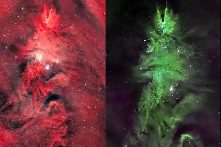 درخشش درخت کریسمس در دل فضا