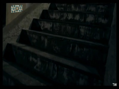 همه خوابن گاو اومده تو خونه!!!