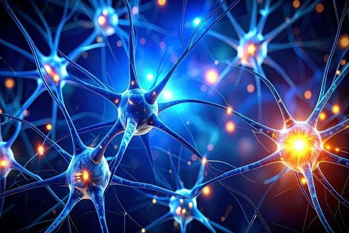 کشف یک زبان پنهان در مغز