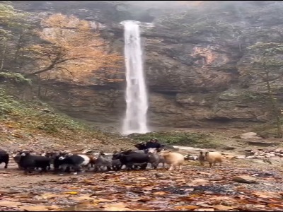 طبیعت زیبای آبشار تودارک مازندران