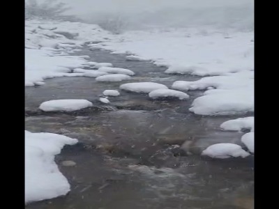 بارش برف در منطقه کوهستانی سرتنگه سوادکوه