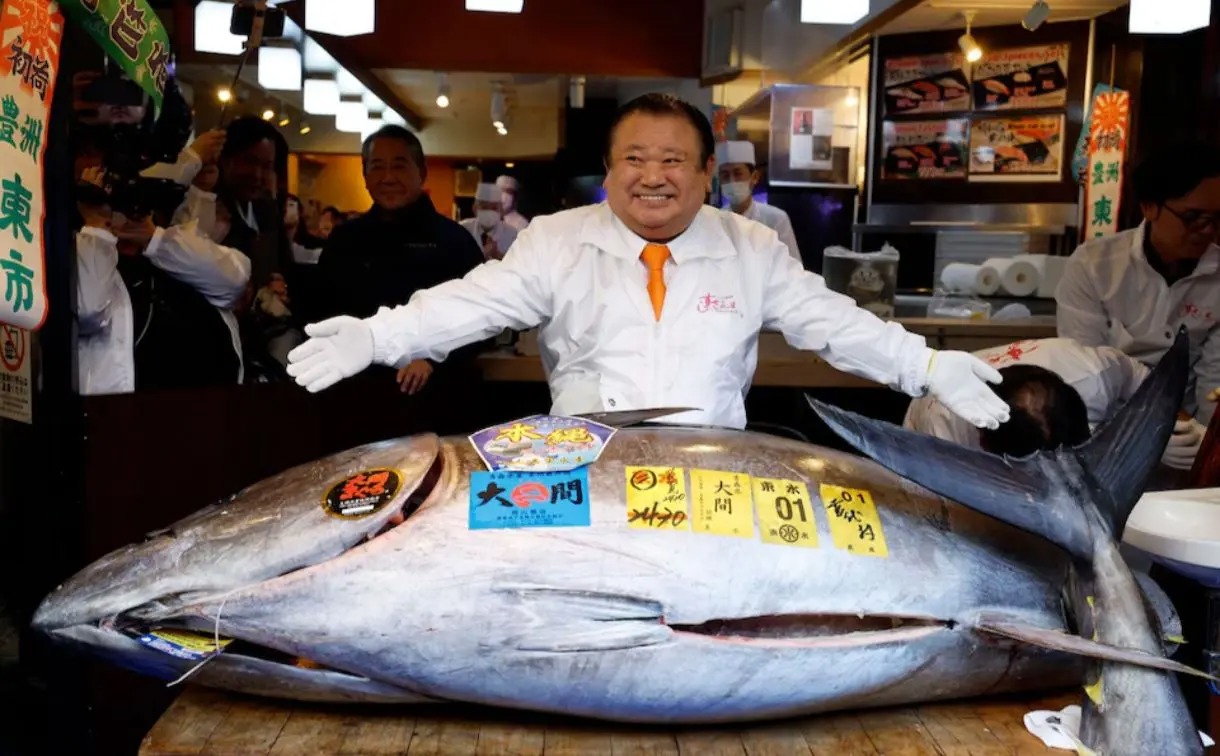 حراج ماهی تن؛ ۴۸۰ میلیارد تومان ناقابل