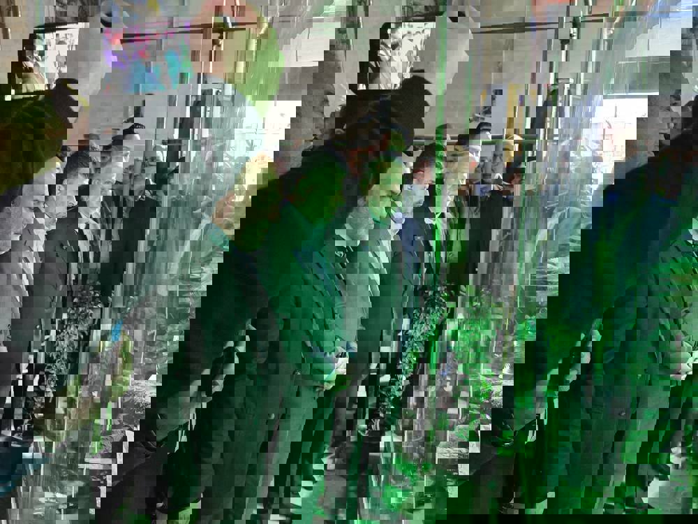 ادای احترام وزیر میراث فرهنگی به حرم مطهر سبزقبا(ع) در دزفول