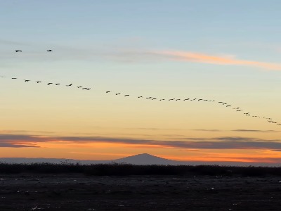 غروب جذاب میانکاله