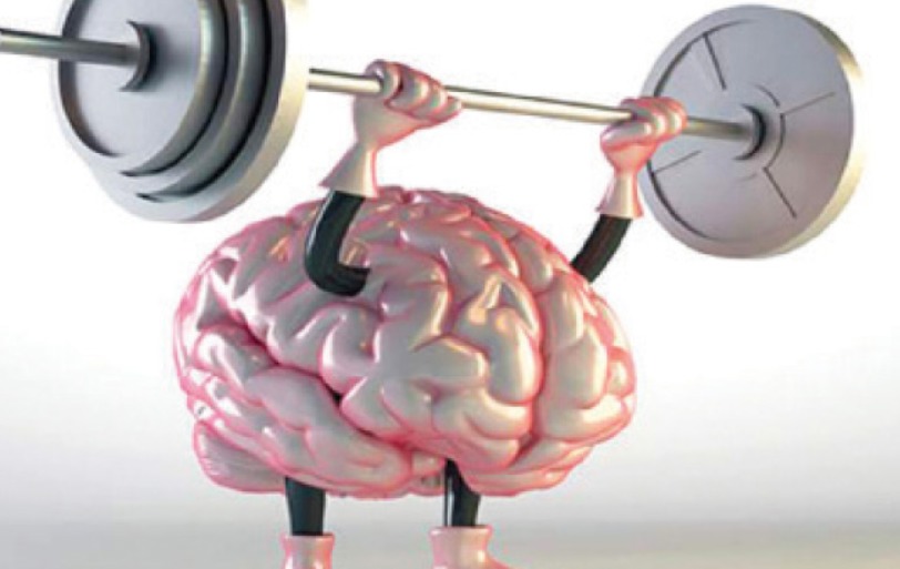 مهارت‌هایی که مغز را جوان نگه می‌دارند