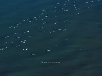 مازندران، شبه جزیره میانکاله